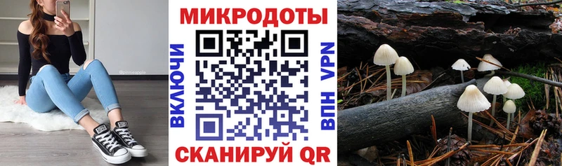 МЕГА как зайти  Алагир  Псилоцибиновые грибы Magic Shrooms 